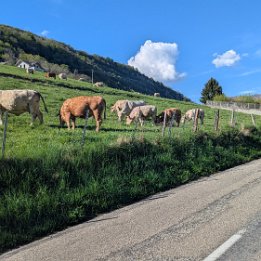 PXL_20260417_154115313