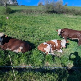 PXL_20260417_161044630