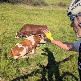 PXL_20260417_161052062