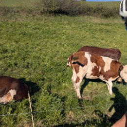 PXL_20260417_161054962