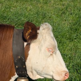 PXL_20260417_161106608