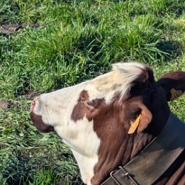 PXL_20260417_161109135