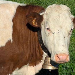 PXL_20260417_161112859