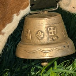 PXL_20260417_161127776