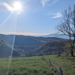 PXL_20260417_164029630