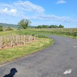 PXL_20260419_071158429