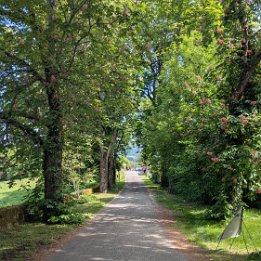 PXL_20260426_095308398