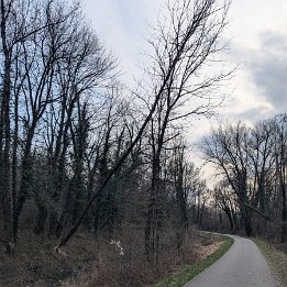 PXL_20260228_151043464