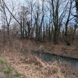 PXL_20260228_151120467