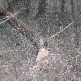 PXL_20260228_151124468