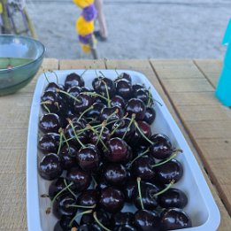 PXL_20260610_080511034