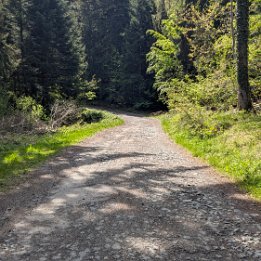 PXL_20260509_094754104