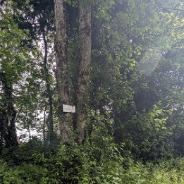 PXL_20260517_090833169