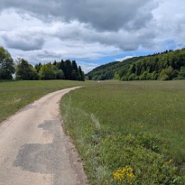 PXL_20260517_093539564