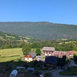 PXL_20260531_065506392