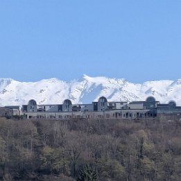 PXL_20260308_142539226