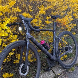 PXL_20260315_171436664