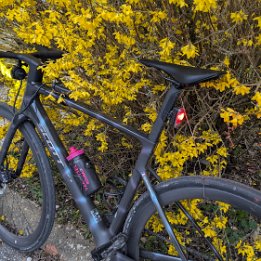 PXL_20260315_171523306