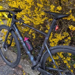 PXL_20260315_171524986