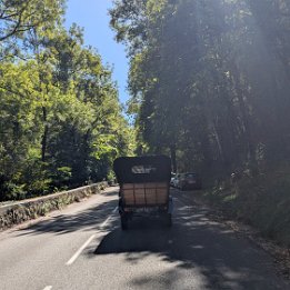 PXL_20260906_094332239
