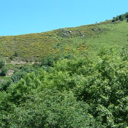 DSCF0095