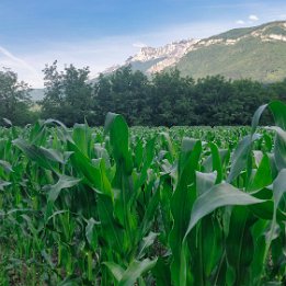 IMG_20210627_082036