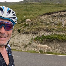 PXL_20250625_090301767.MP