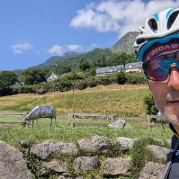 PXL_20250627_103447300.MP