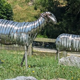 PXL_20250627_103453538.MP