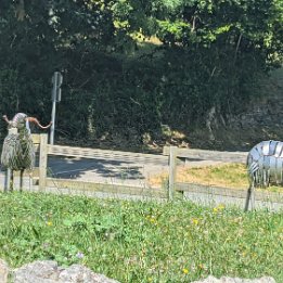 PXL_20250627_103456978.MP