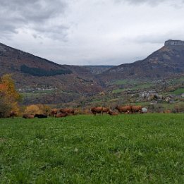 PXL_20251101_143853358.MP