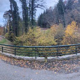 PXL_20251101_155146472.PANO