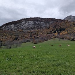 PXL_20251101_155650092.MP