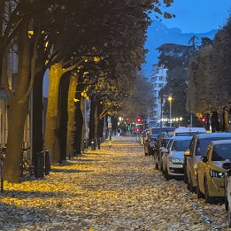 PXL_20251109_163112937.MP