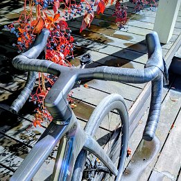 PXL_20251005_094409156.MP~2