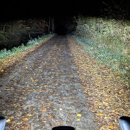 PXL_20251028_183545427.NIGHT