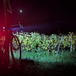 PXL_20251028_190421093.NIGHT