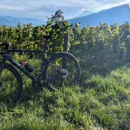 PXL_20250928_153611813.MP