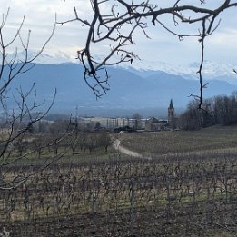 PXL_20260201_125822215