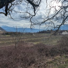 PXL_20260201_125824513