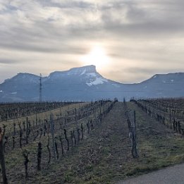 PXL_20260201_151358367