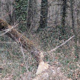 PXL_20260228_151106619