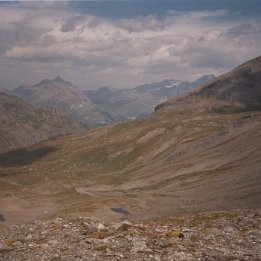 Col de pelouse