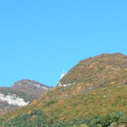 DSCF0019