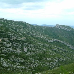 DSCF0015
