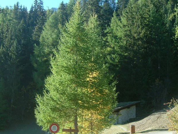 12-10-3 - La Norma