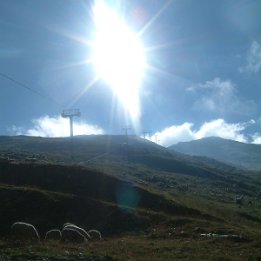 DSCF0029