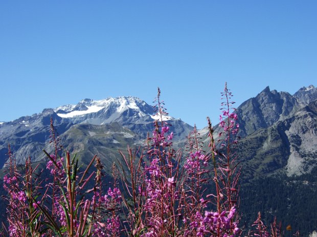 18-8-6 - La Norma