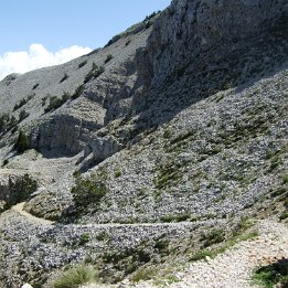 DSCF0849