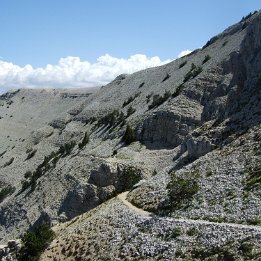 DSCF0854